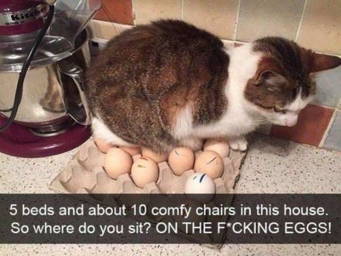 So Where Do I Sit