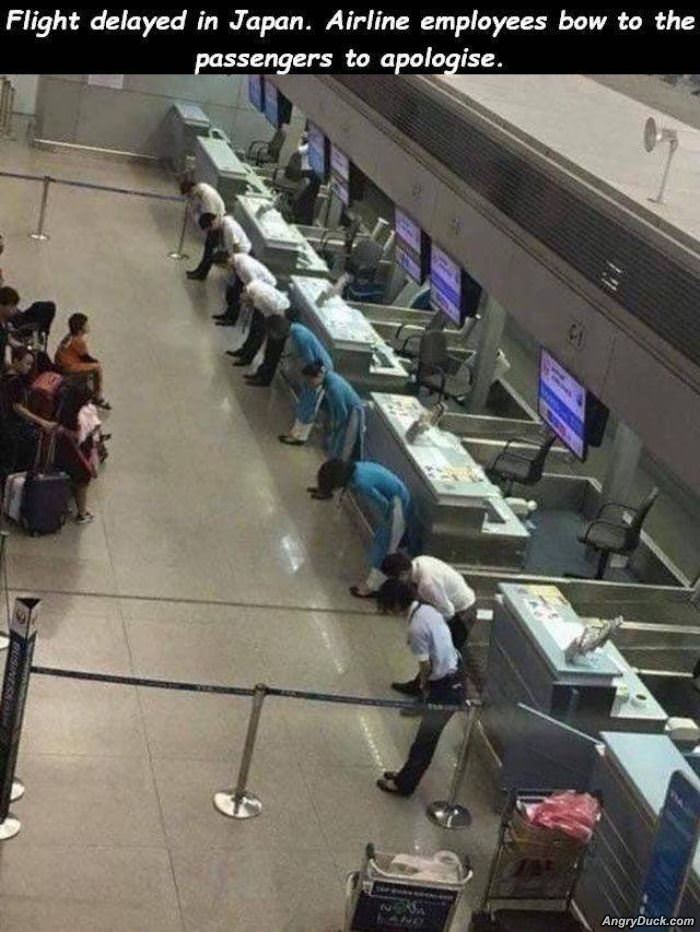 The Flight Has Been Delayed