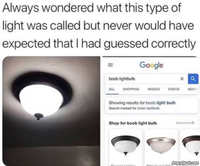 What Is This Light Called