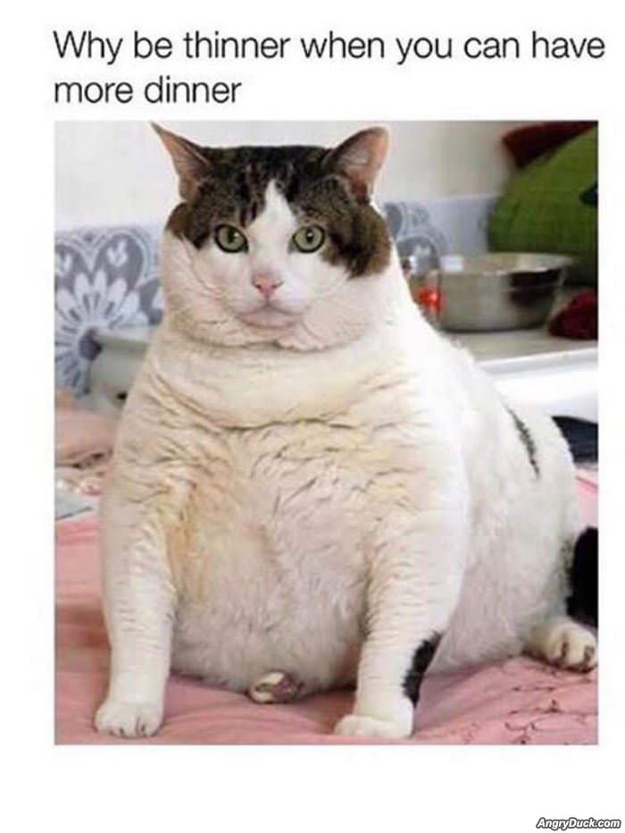 Why Be Thinner