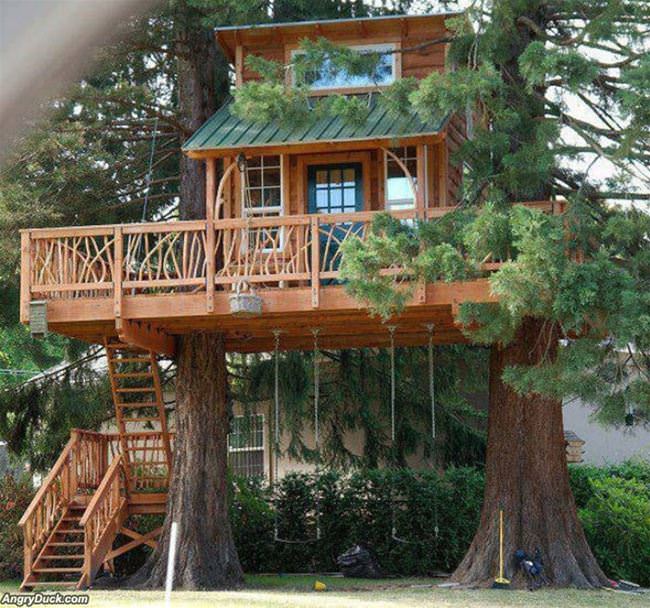 Amazing Tree House