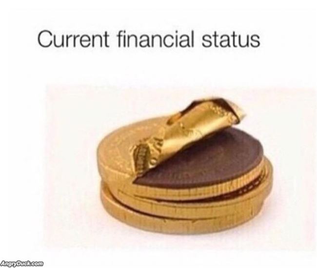 Financial Status