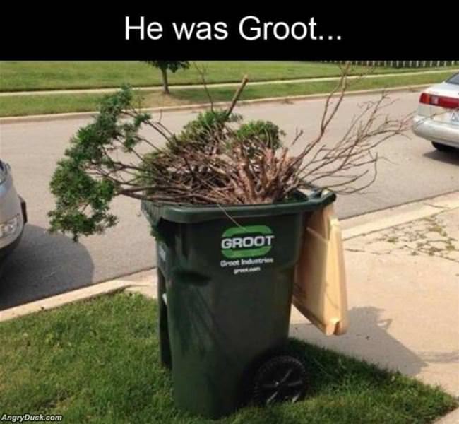 He Was Groot