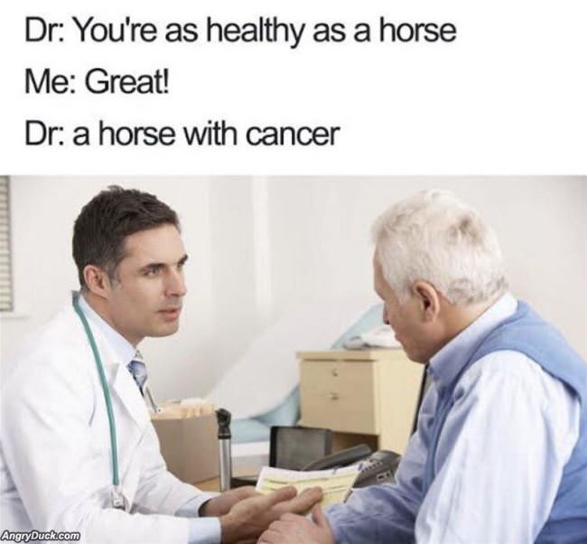 Healthy As A Horse