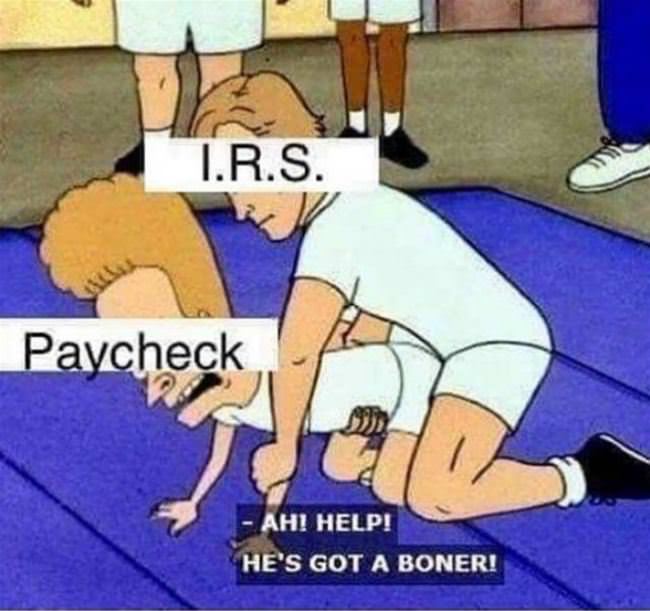 The Irs In A Nutshell