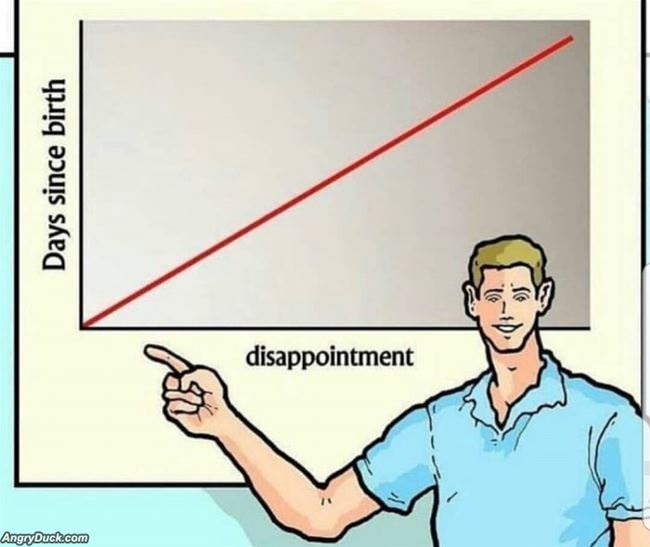 The Story Of My Life