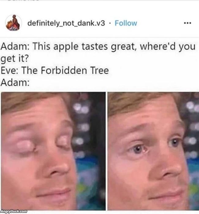 This Apple Tastes Great