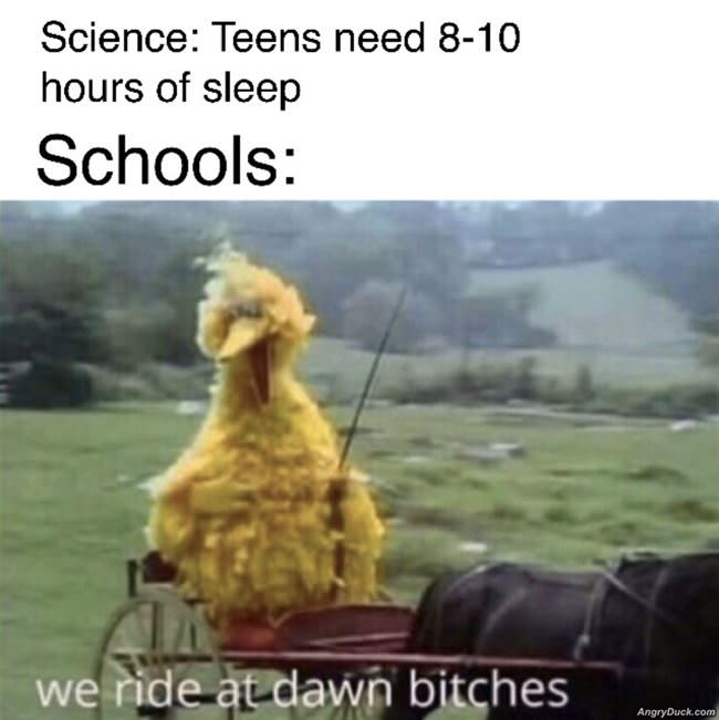 8 To 10 Hours Of Sleep