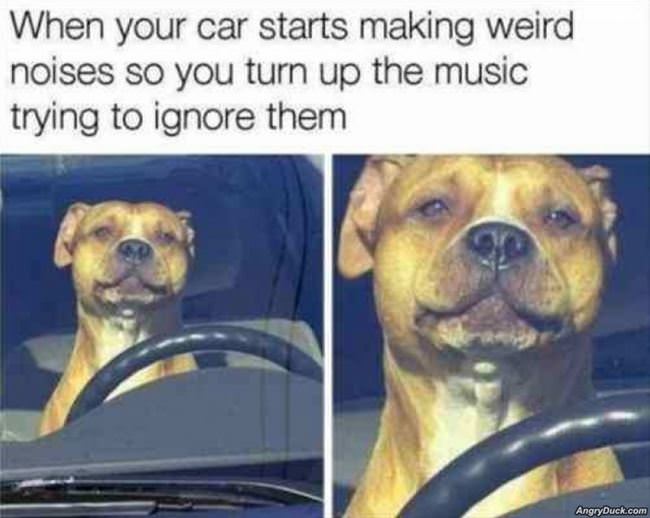 Car Starts Making Weird Noises