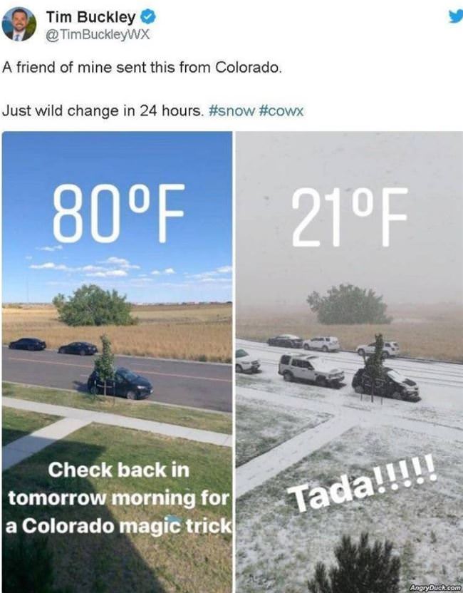 Colorado Magic Trick