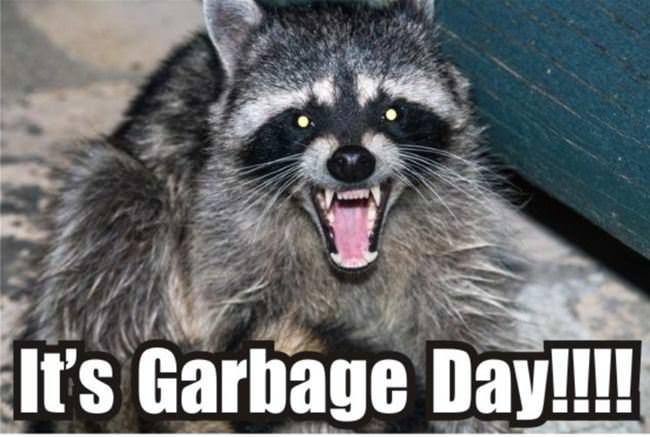 Garbage Day