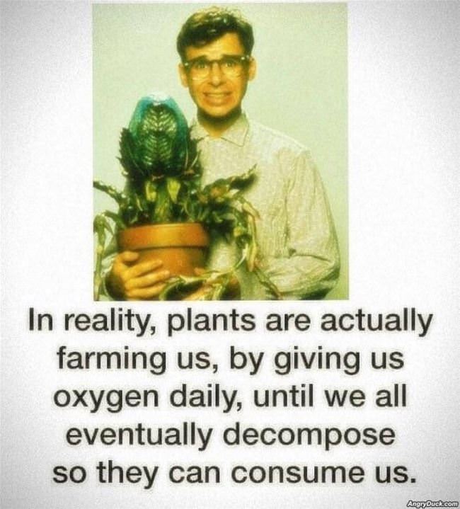 In Reality Plants Farm Us
