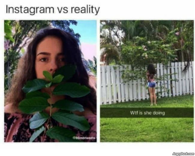 Instagram Vs Reality