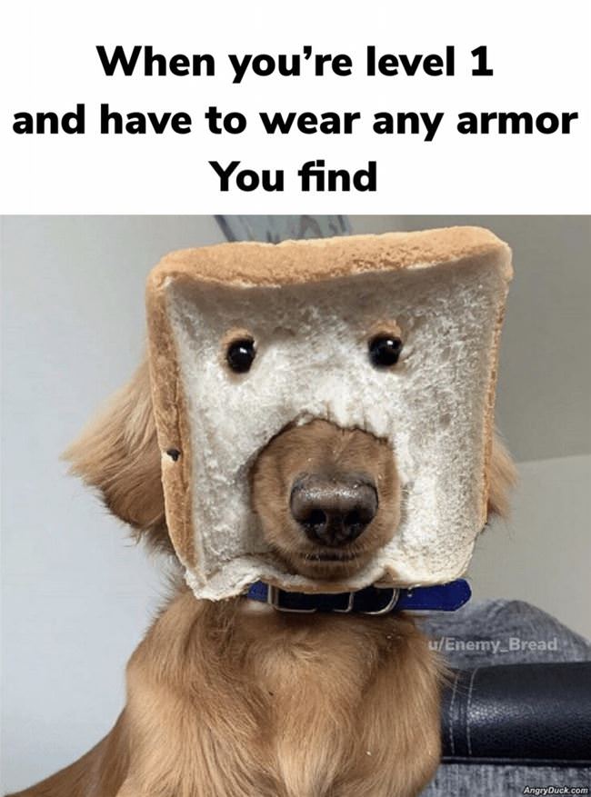 Level 1 Armor