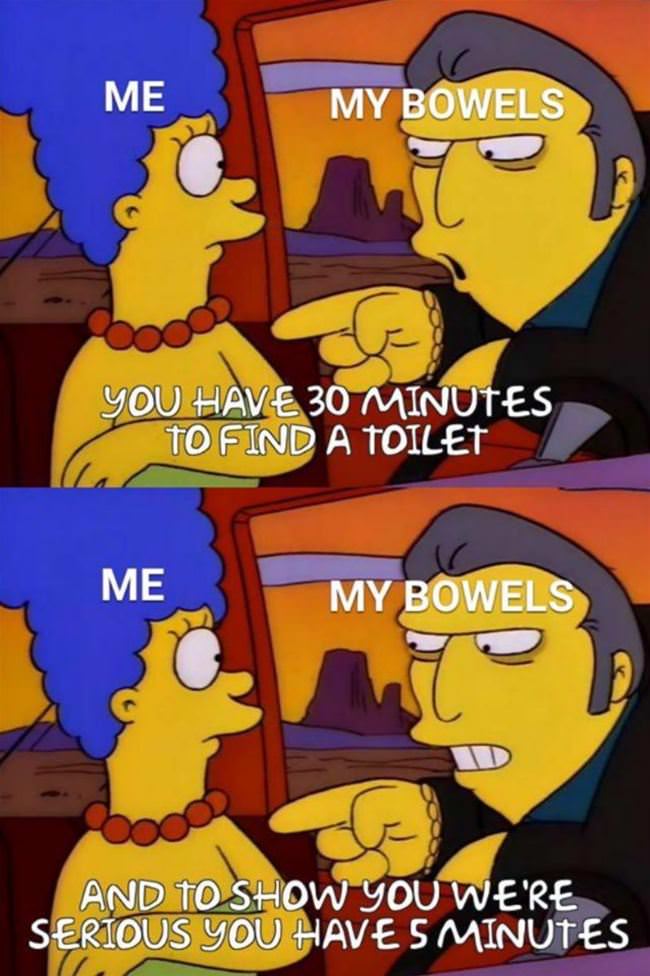 My Bowels