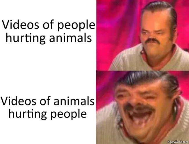People Hurting Animals