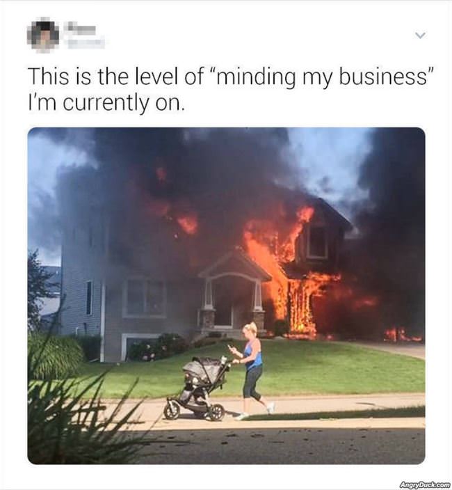 The Level Of Minding My Own Business