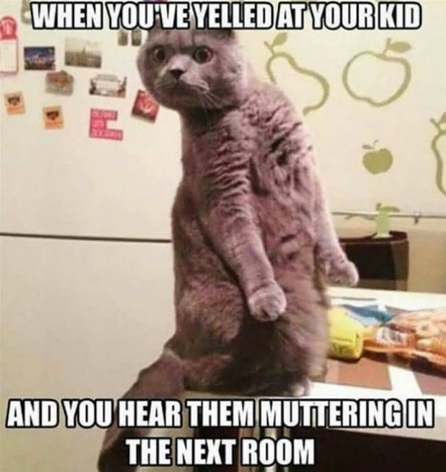 Yelled At Your Kids