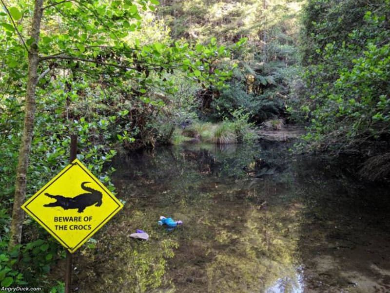 Beware The Crocs