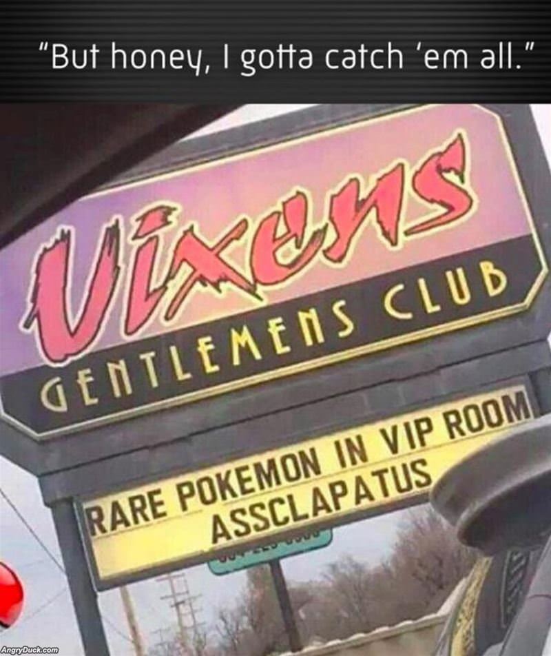 I Have To Catch Them All