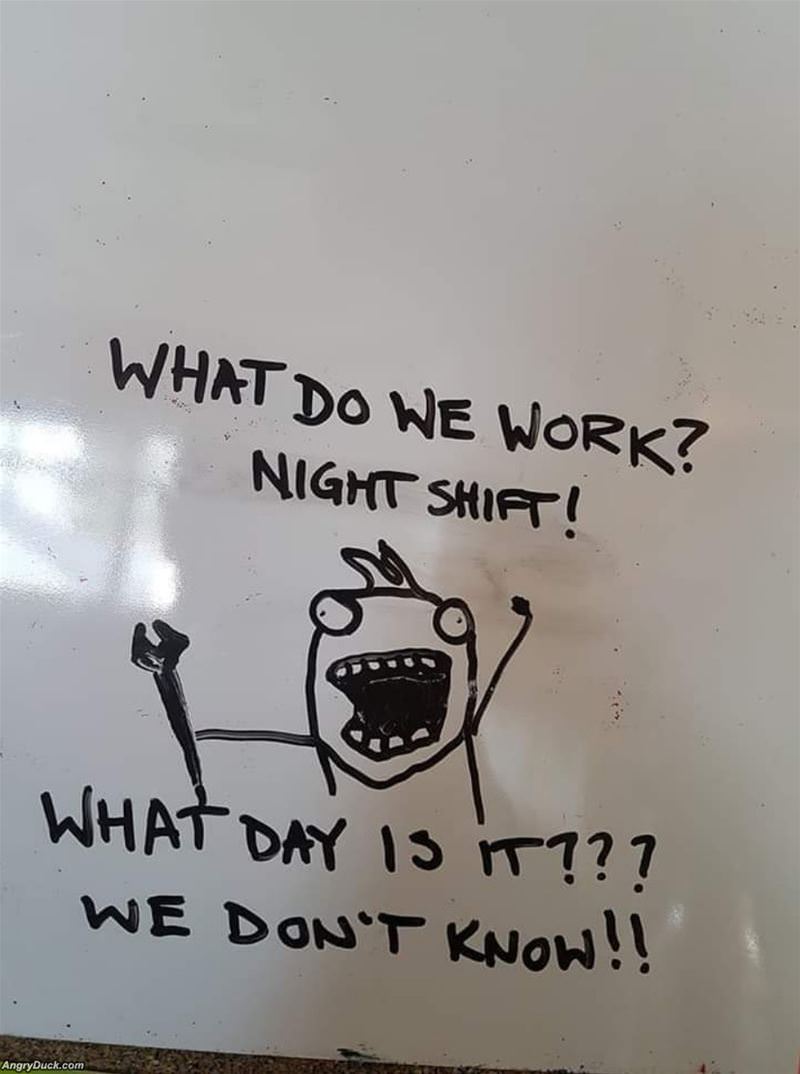 Night Shift Workers