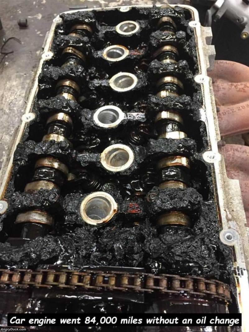 No Oil Changes