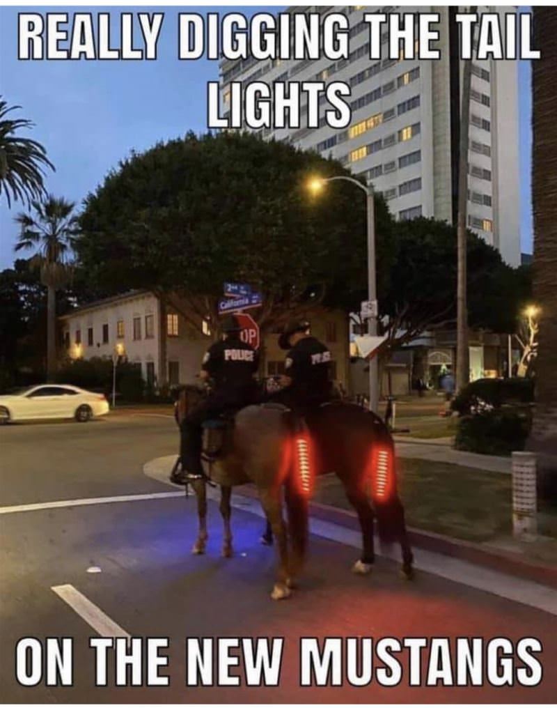 Really Digging The New Lights