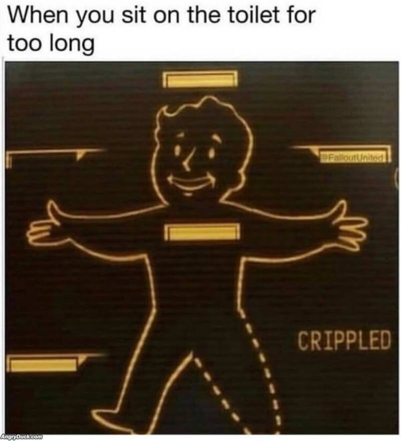 Sitting In The Toilet Too Long