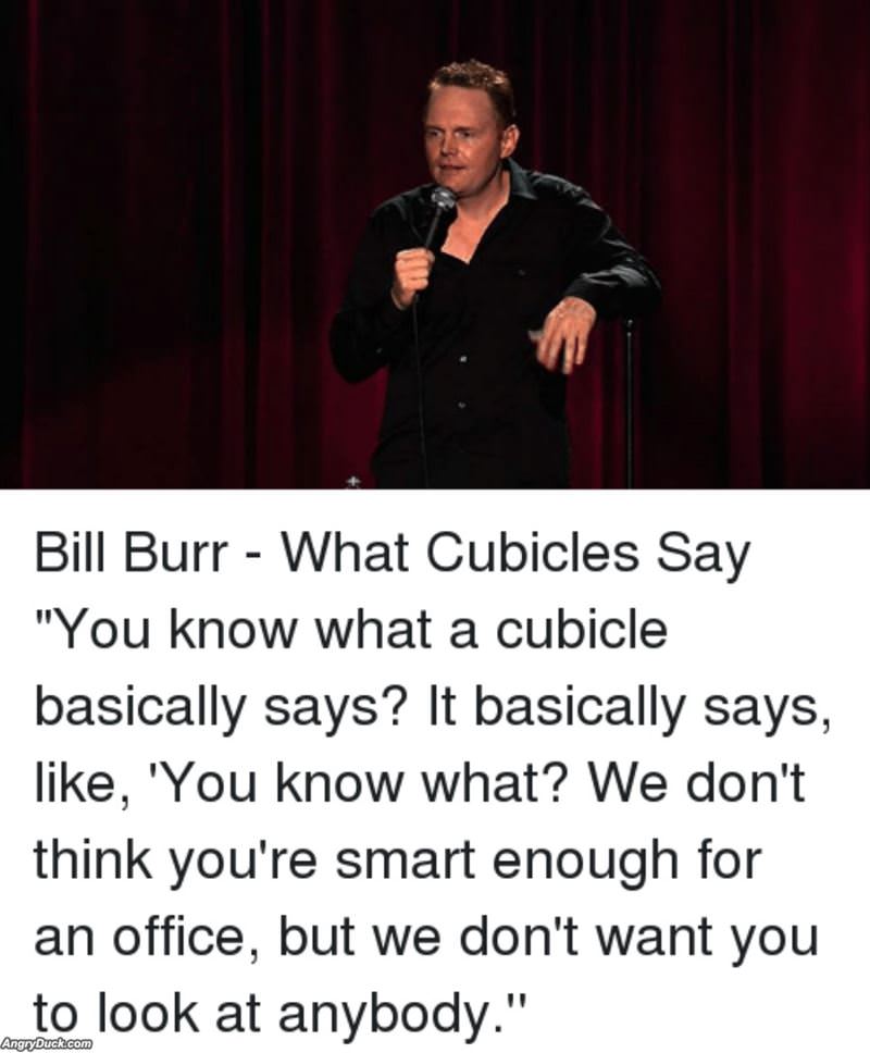What A Cubicle Says