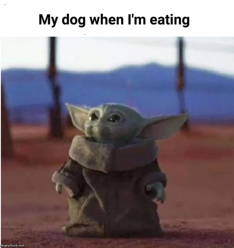 When I Am Eating