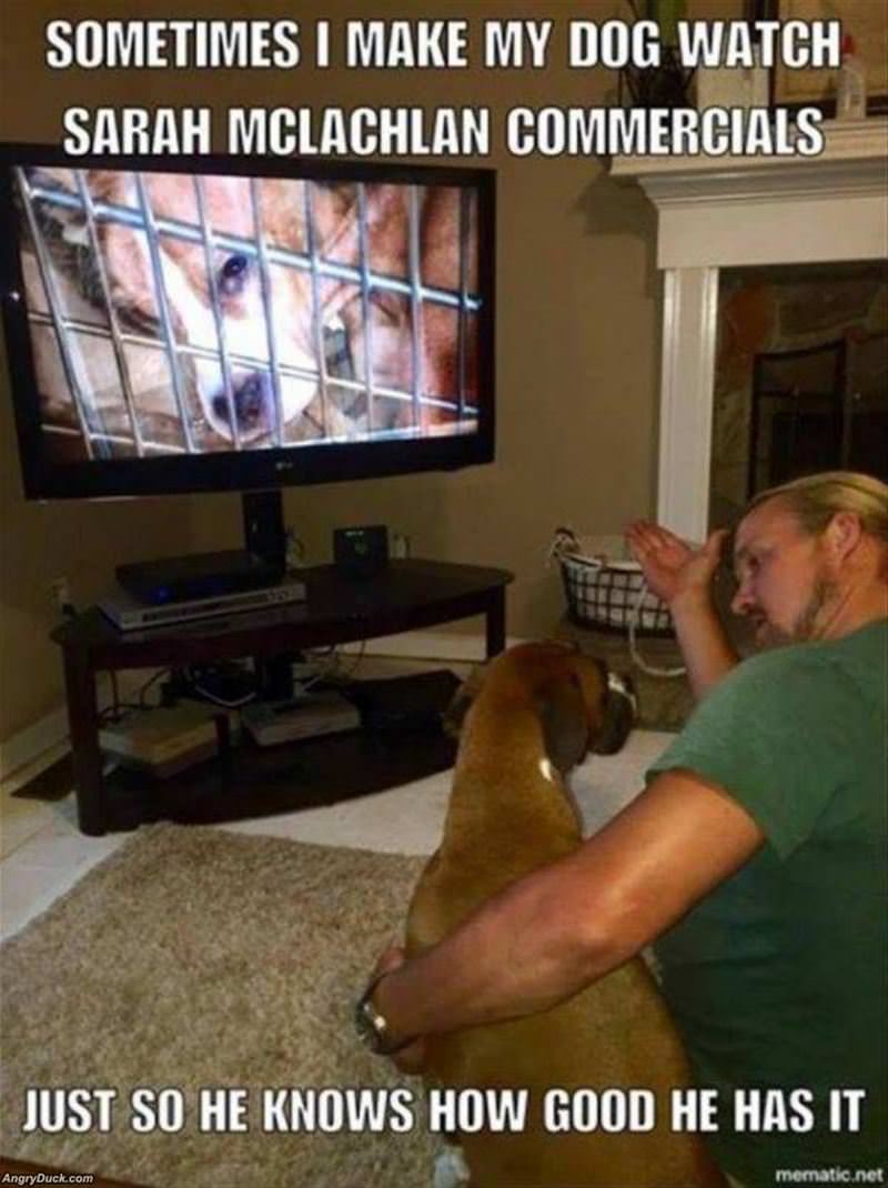 You See How Good You Have It