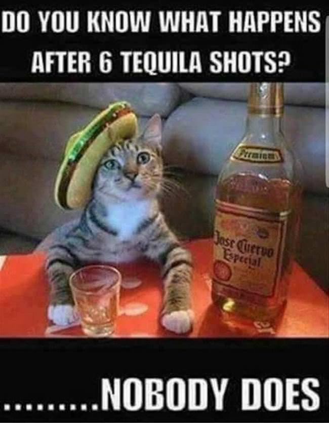 Do You Know What Happens