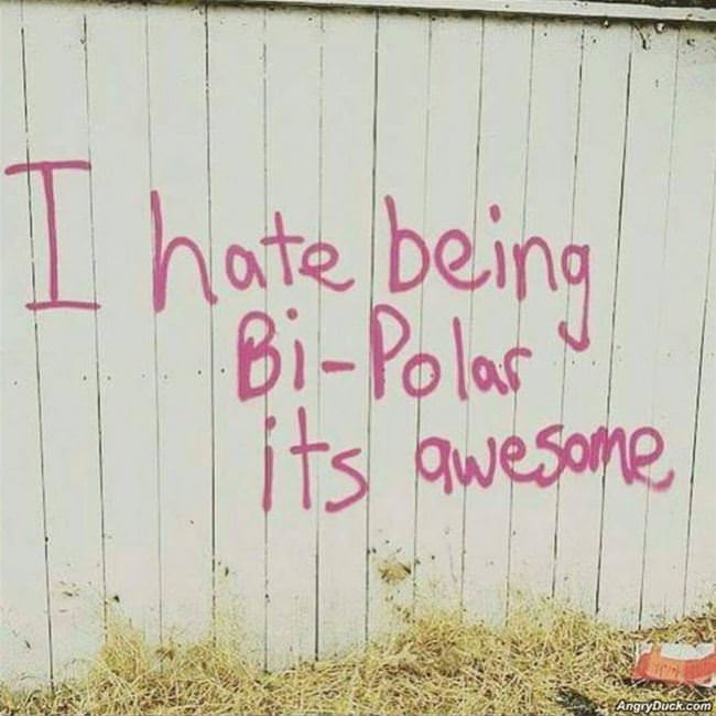 I Hate Being Bi Polar