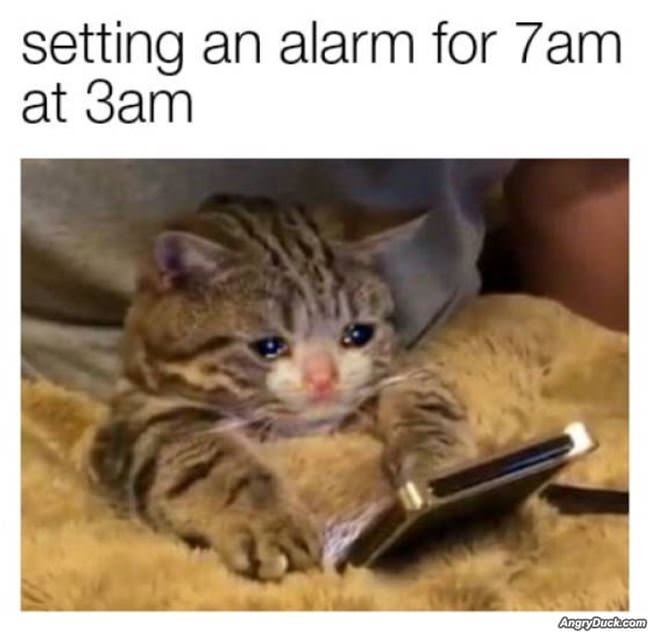 Setting An Alarm