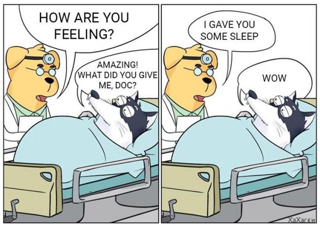 What Did You Give Me Doc