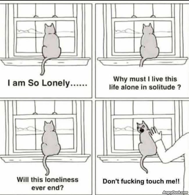 Why Am I So Lonely