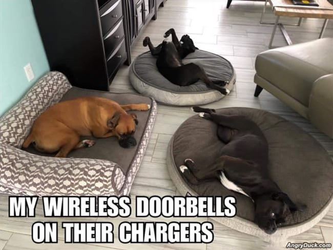 Wireless-doorbells