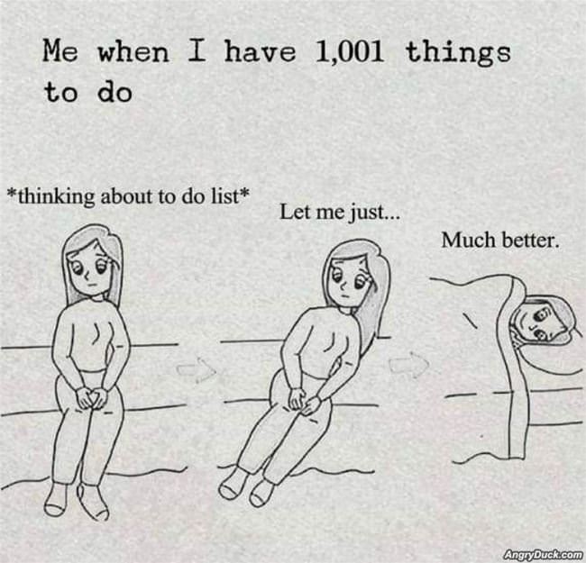1001 Things To Do
