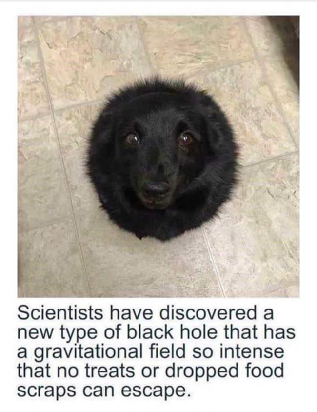 A New Type Of Black Hole