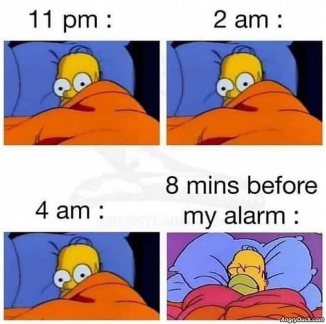 How My Sleeping Cycle Works