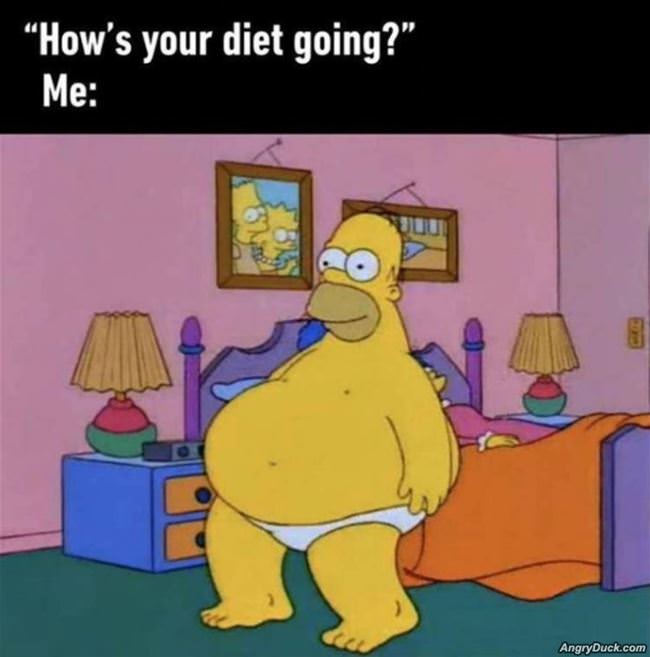 Hows The Diet Going