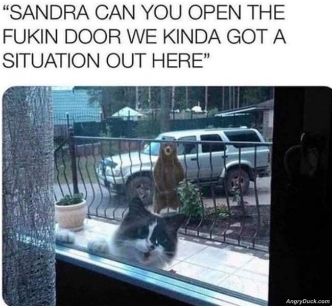 Sandra Can You Open The Door