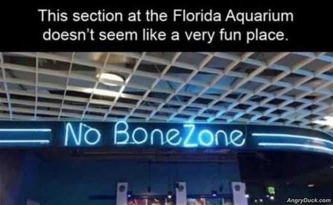 This Place Seems Boring