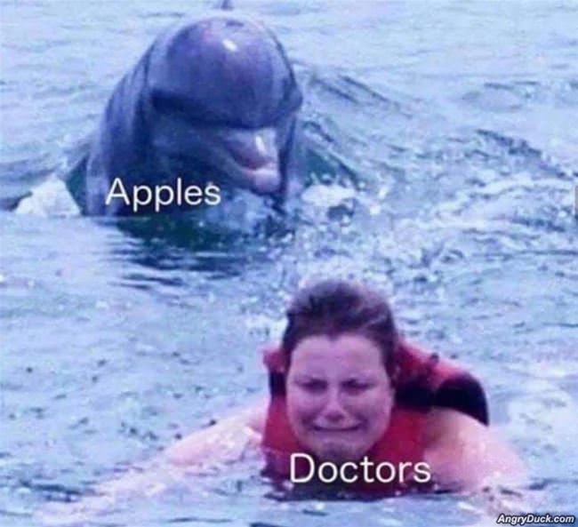 An Apple A Day