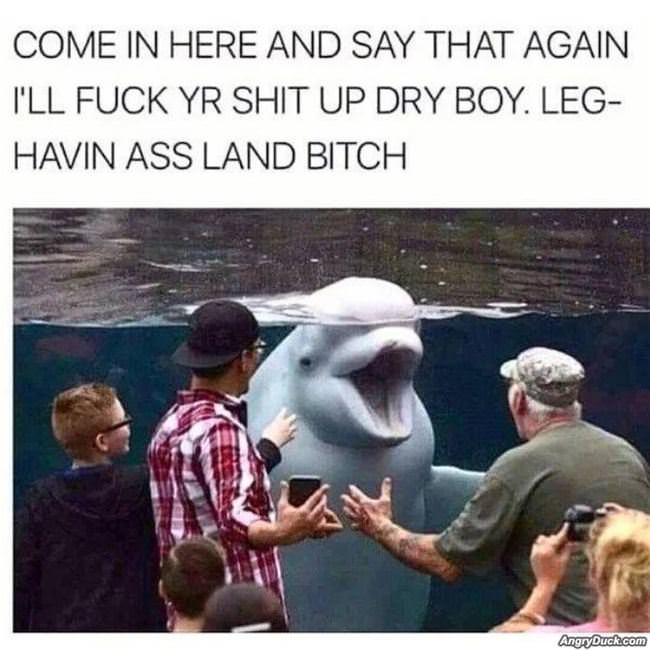 Come Here And Say It Again