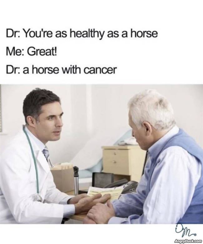 Healthy As A Horse
