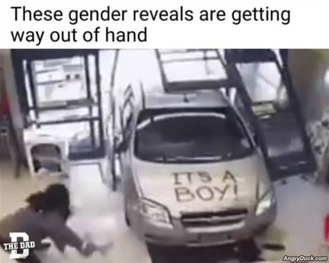 These Gender Reveals
