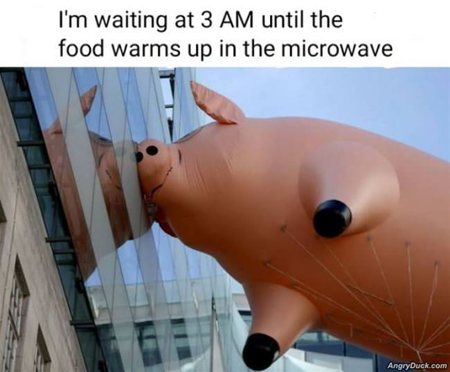 Waiting For The Food To Warm Up