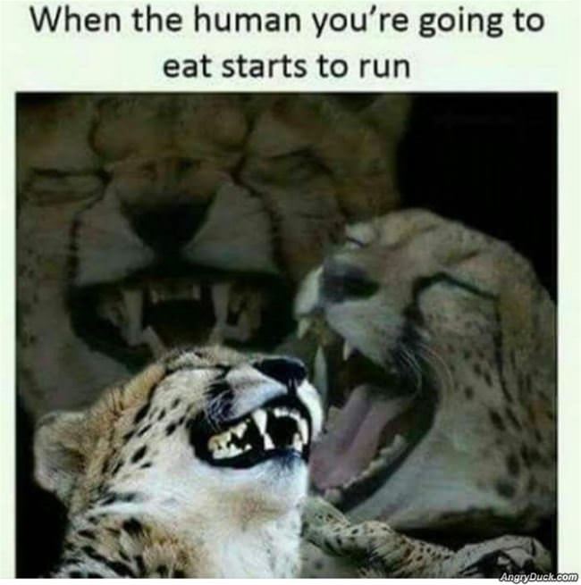 When They Start To Run