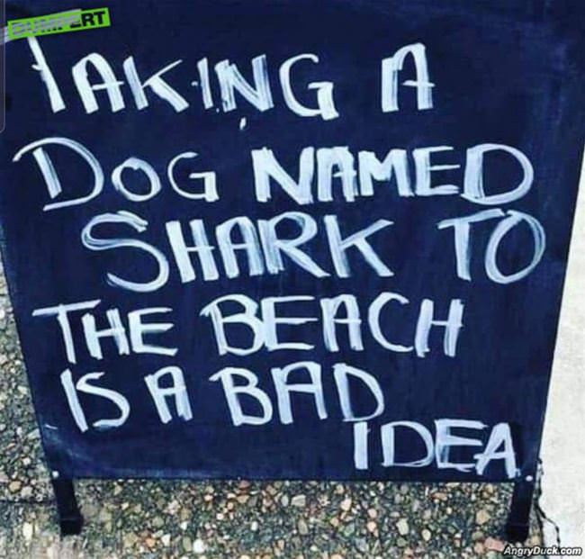 A Dog Named Shark